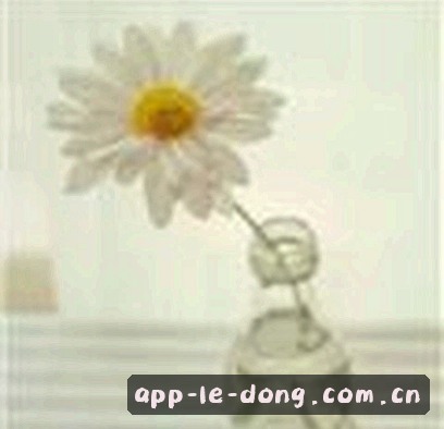 周敏